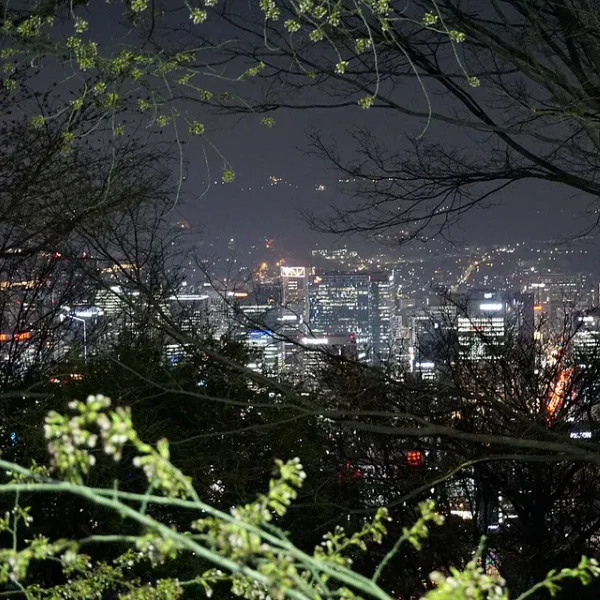 스테이 세리살롱 마사지 안내 이미지