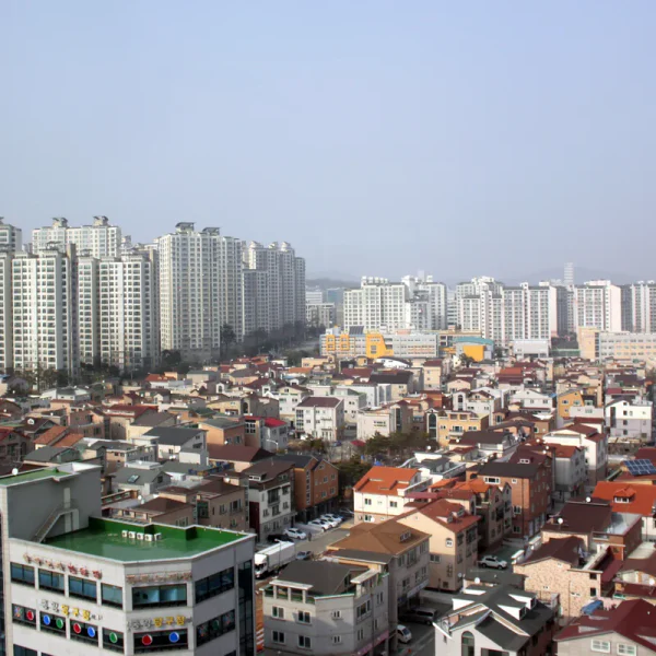 스위트 로제테라스 테라피 안내 이미지
